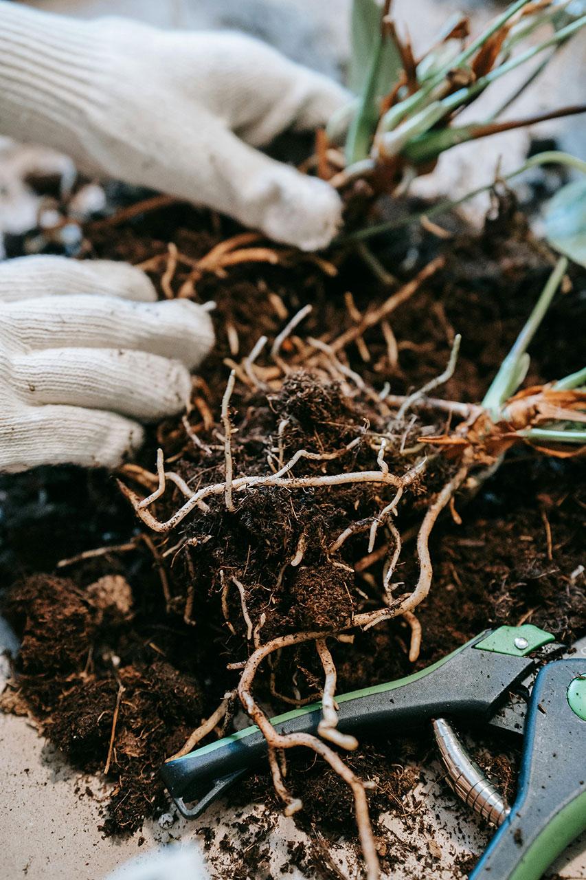 Person with gloves sifting through dirt